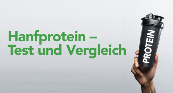 Hanfprotein