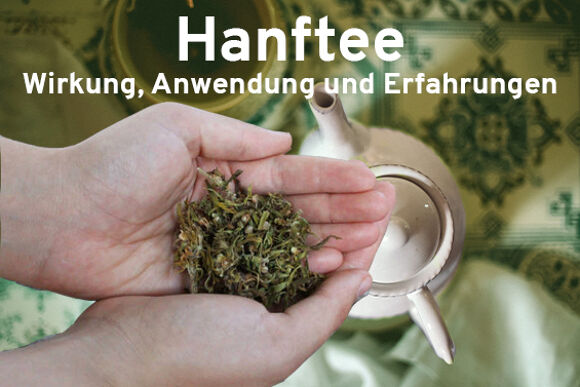 Hanftee