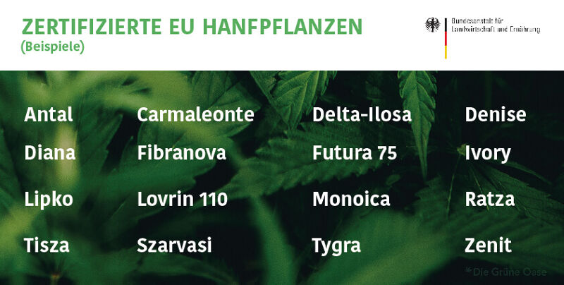 EU-zertifizierte Hanfsorten