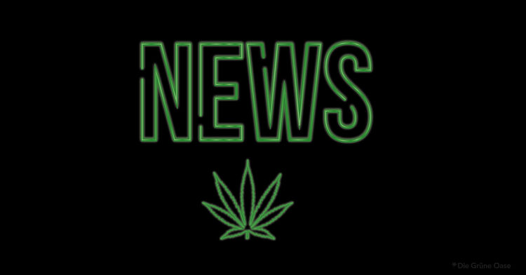 Aktuelles zum Thema Hanf und CBD