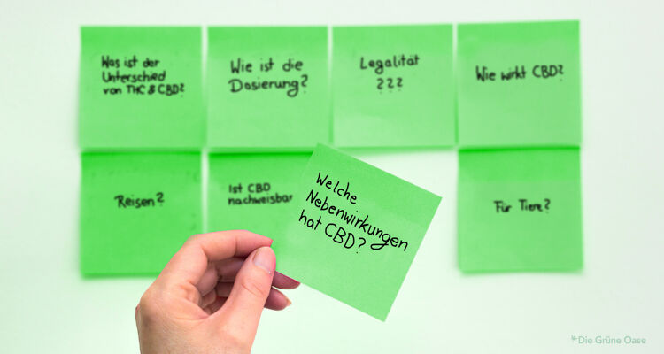 CBD Ratgeber