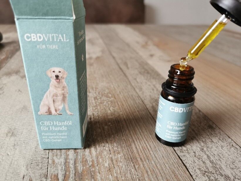 Das CBD Vital Hanföl für Hunde gibt es mit 10 oder 20 ml. Foto: Maren Bertits