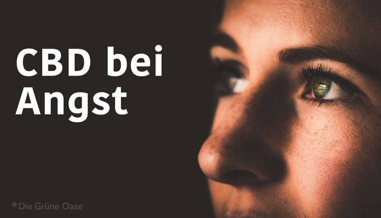 CBD gegen Angst