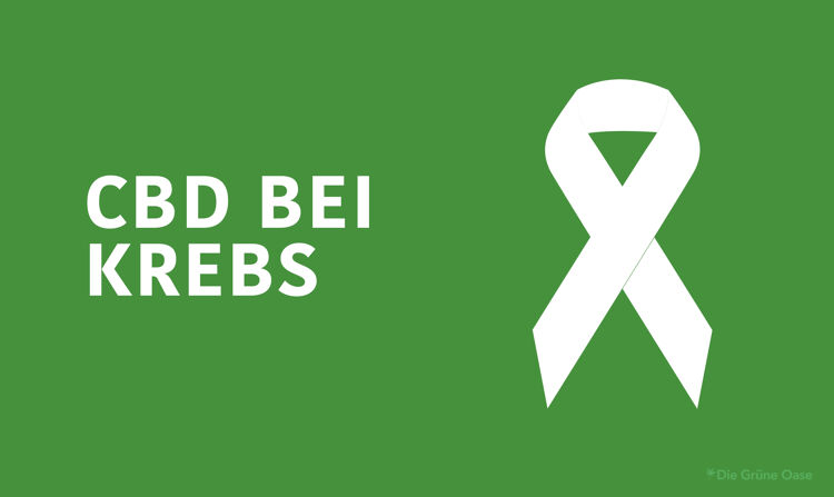 CBD bei Krebs