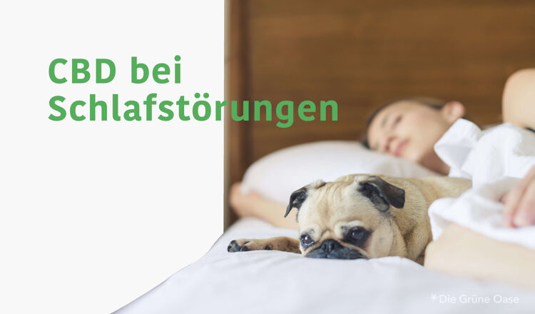 CBD bei Schlafstörungen