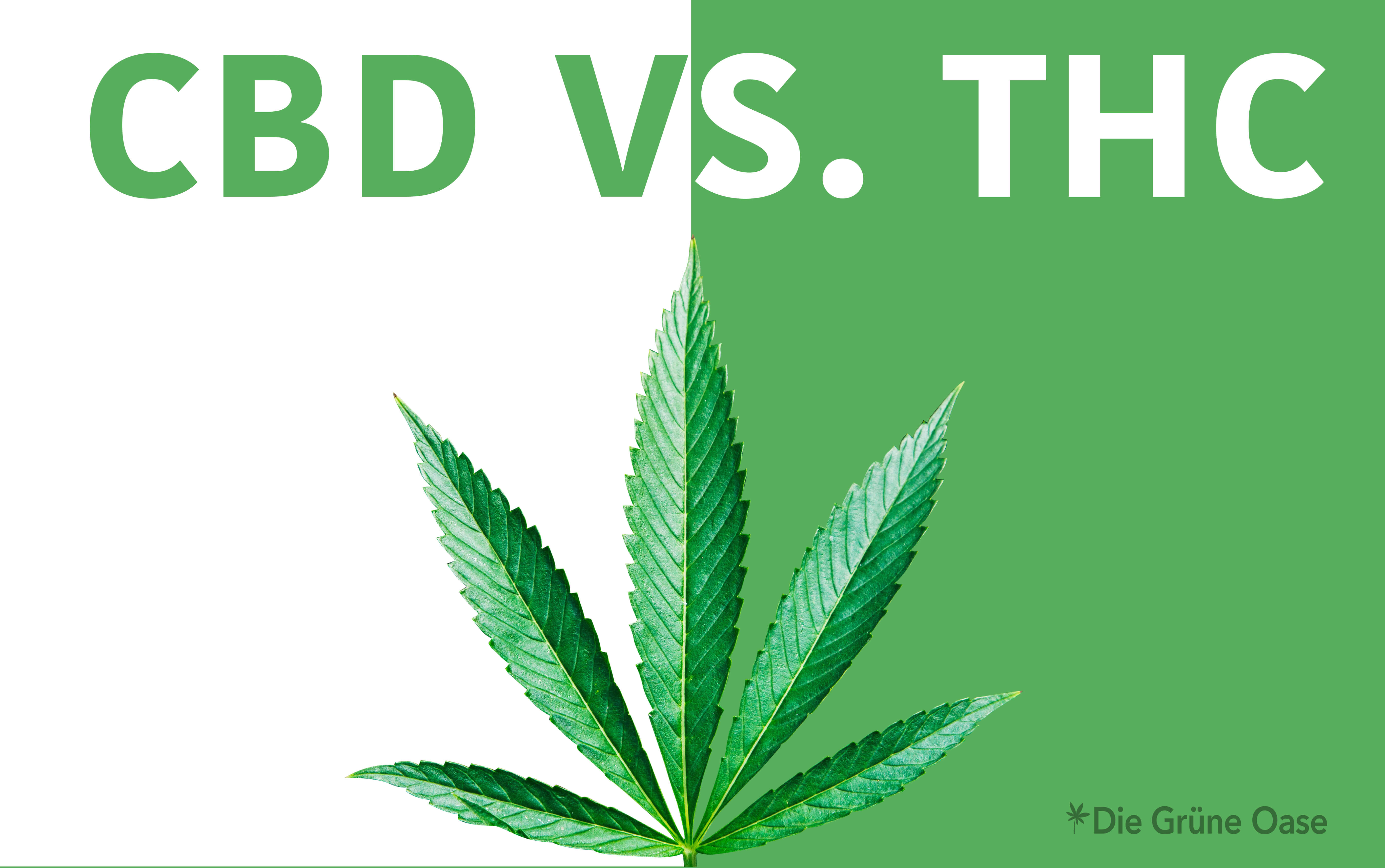 CBD Vs. THC - Wie Unterscheiden Sich Die Wirkstoffe? (2023)