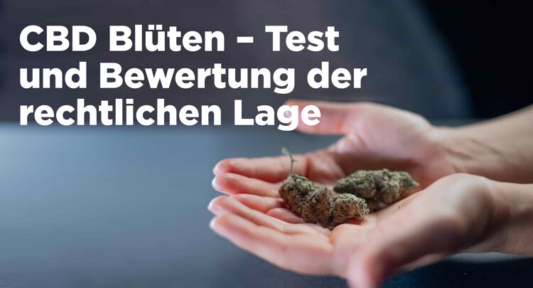 CBD Blüten Erfahrungsberichte