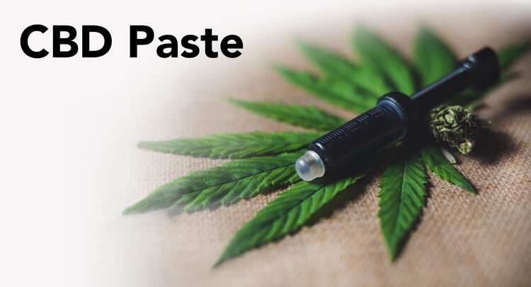 CBD Paste